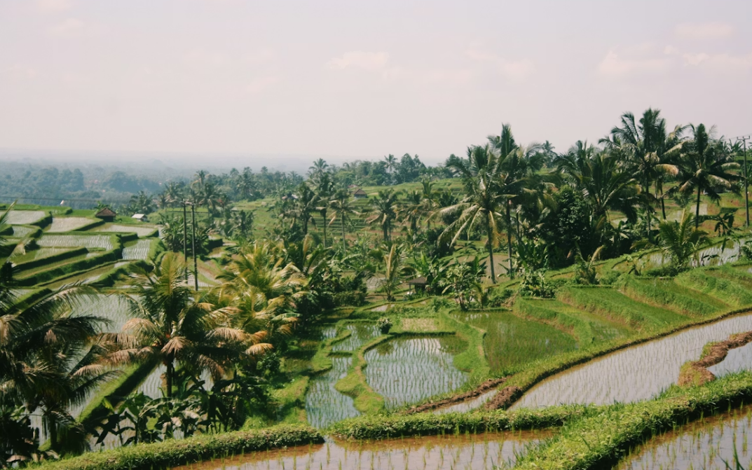 Info deal : Groupe Partir-Visiteurs